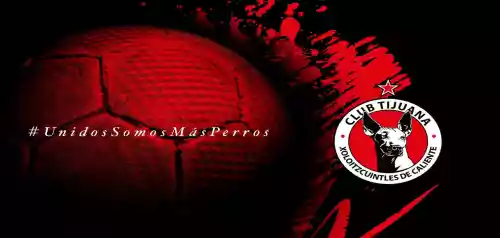 vectores plantilas FUTBOL,